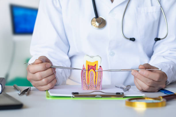 Best Emergency Wisdom Teeth Removal in Thompson, ND